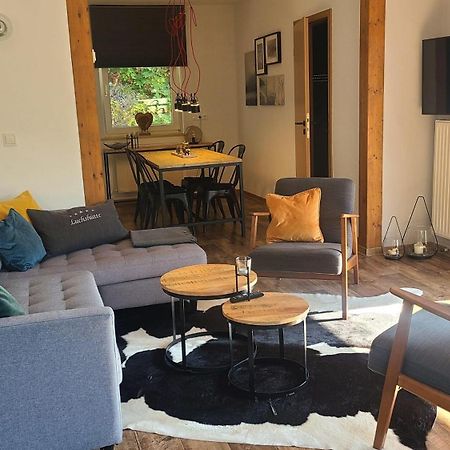Luchshuette Villa Sankt Andreasberg Ngoại thất bức ảnh
